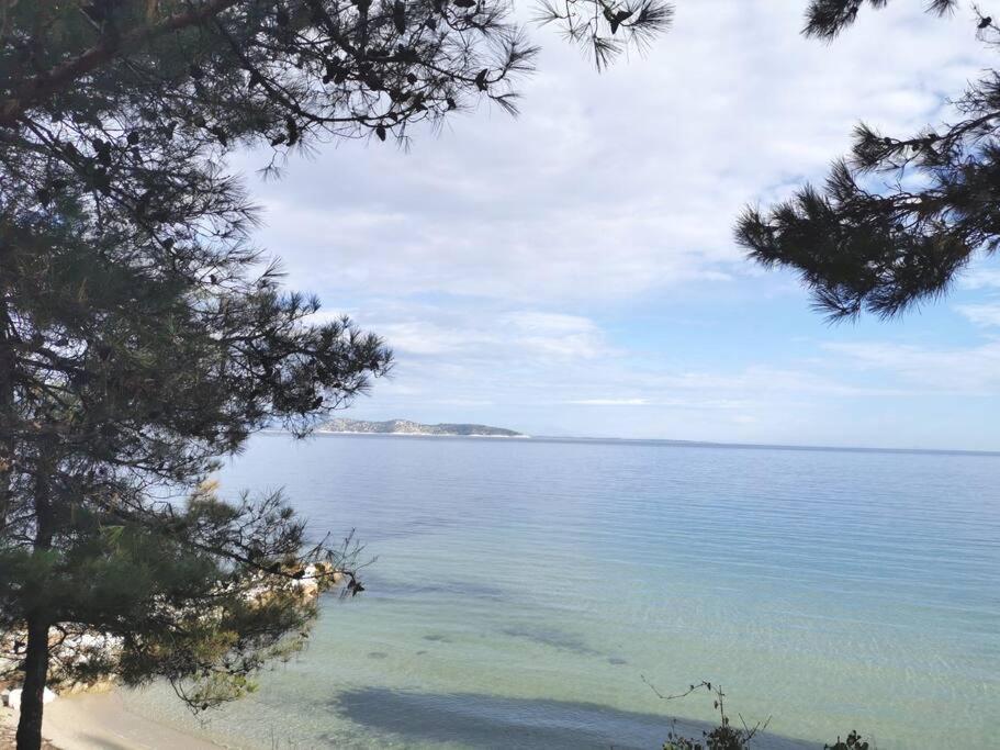 Central Thassos Apartment 3 Εξωτερικό φωτογραφία